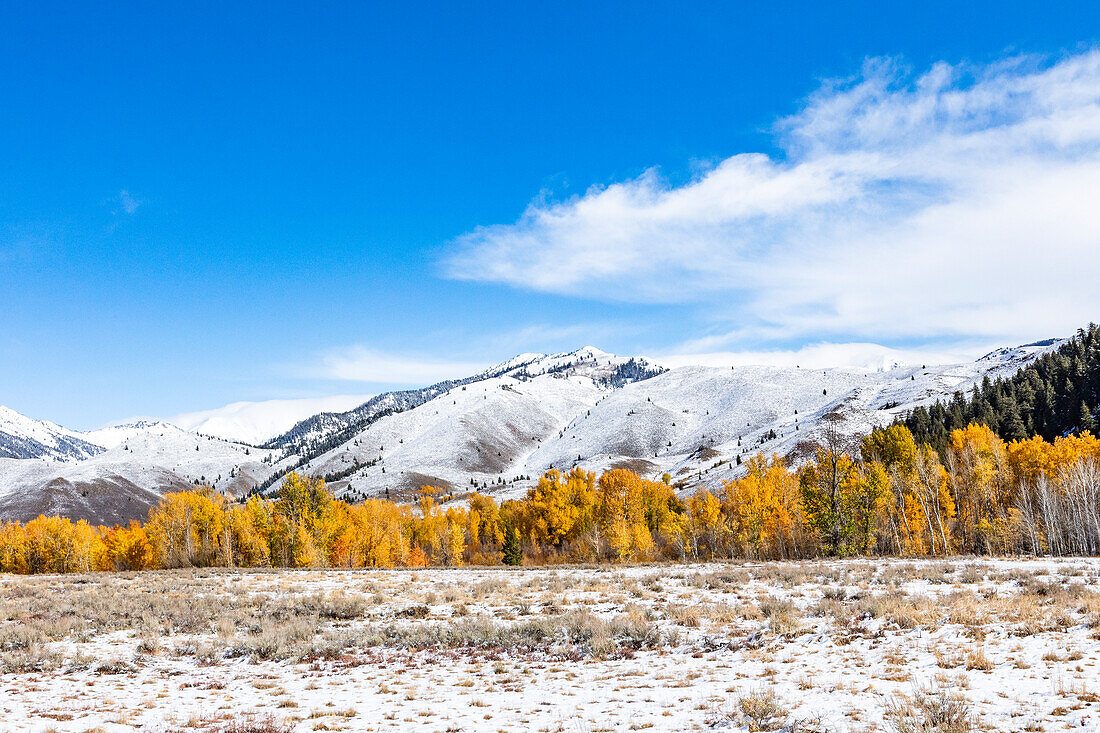 USA, Idaho, Ketchum, Fall foliage in mountains near Sun Valley