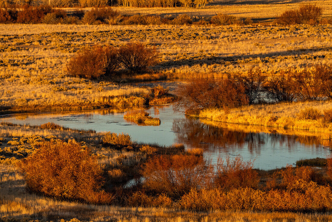 USA, Idaho, Bellevue, ruhigen Spring Creek im Herbst