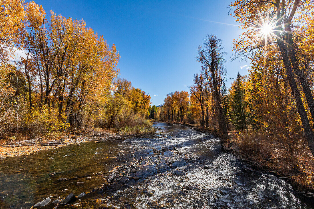 USA, Idaho, Ketchum, Fluss und Bäume am sonnigen Herbsttag