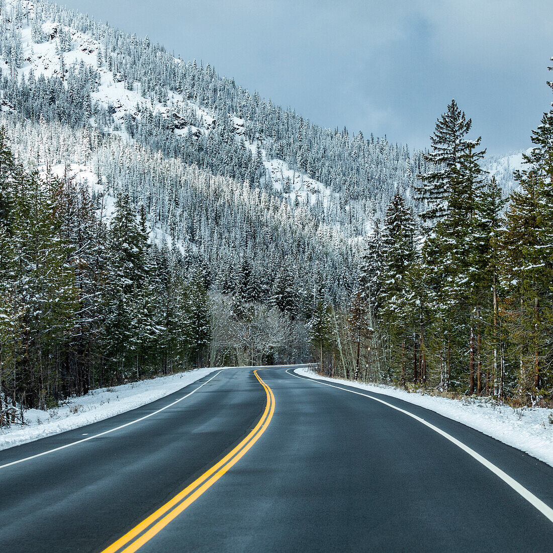 USA, Idaho, Ketchum, Straße durch den verschneiten Wald