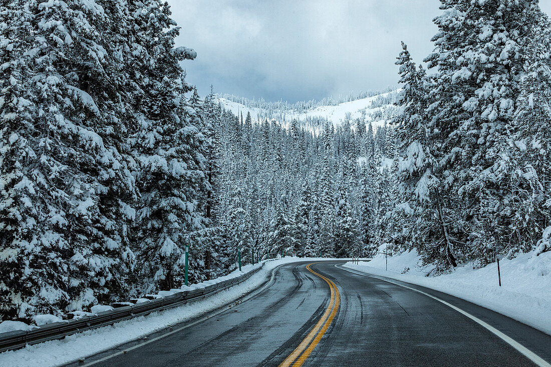 USA, Idaho, Ketchum, Straße durch den verschneiten Wald