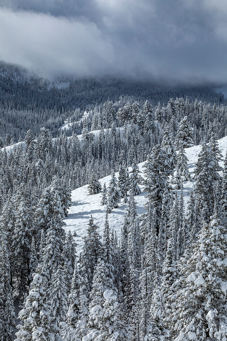 USA, Idaho, Ketchum, Berglandschaft und Wald im Winter