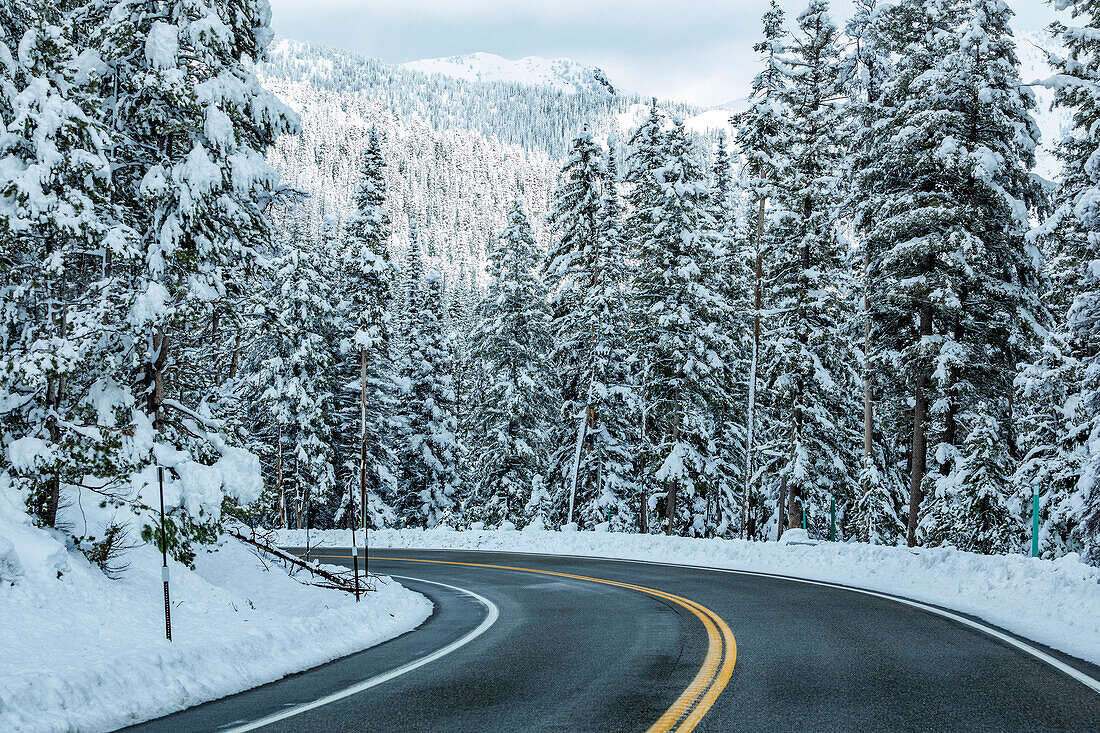 USA, Idaho, Ketchum, Straße durch den Winterwald