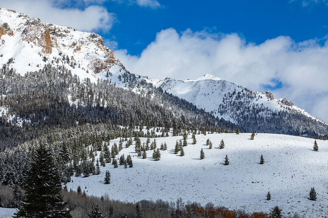 USA, Idaho, Ketchum, Mountain landscape and forest in winter