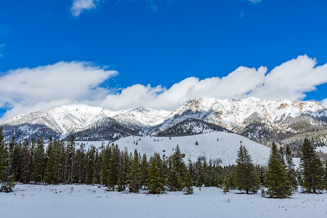 USA, Idaho, Ketchum, Berglandschaft und Wald im Winter