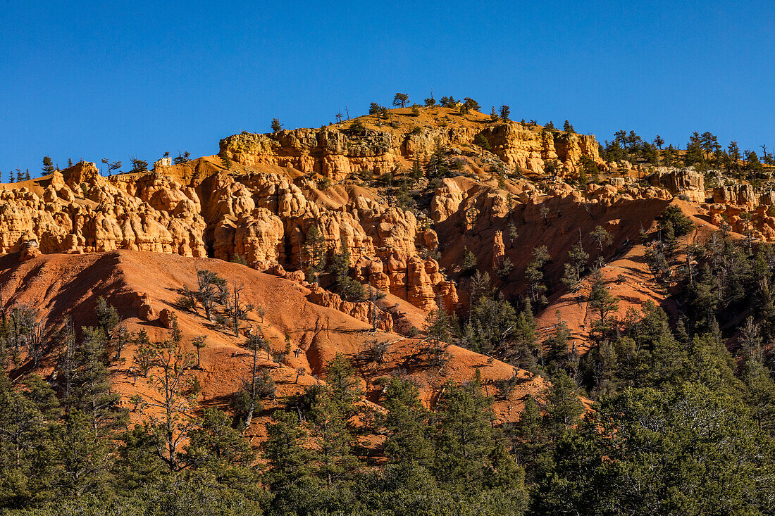 United States, Utah, Bryce Canyon National Park, Hoodoo rock formations