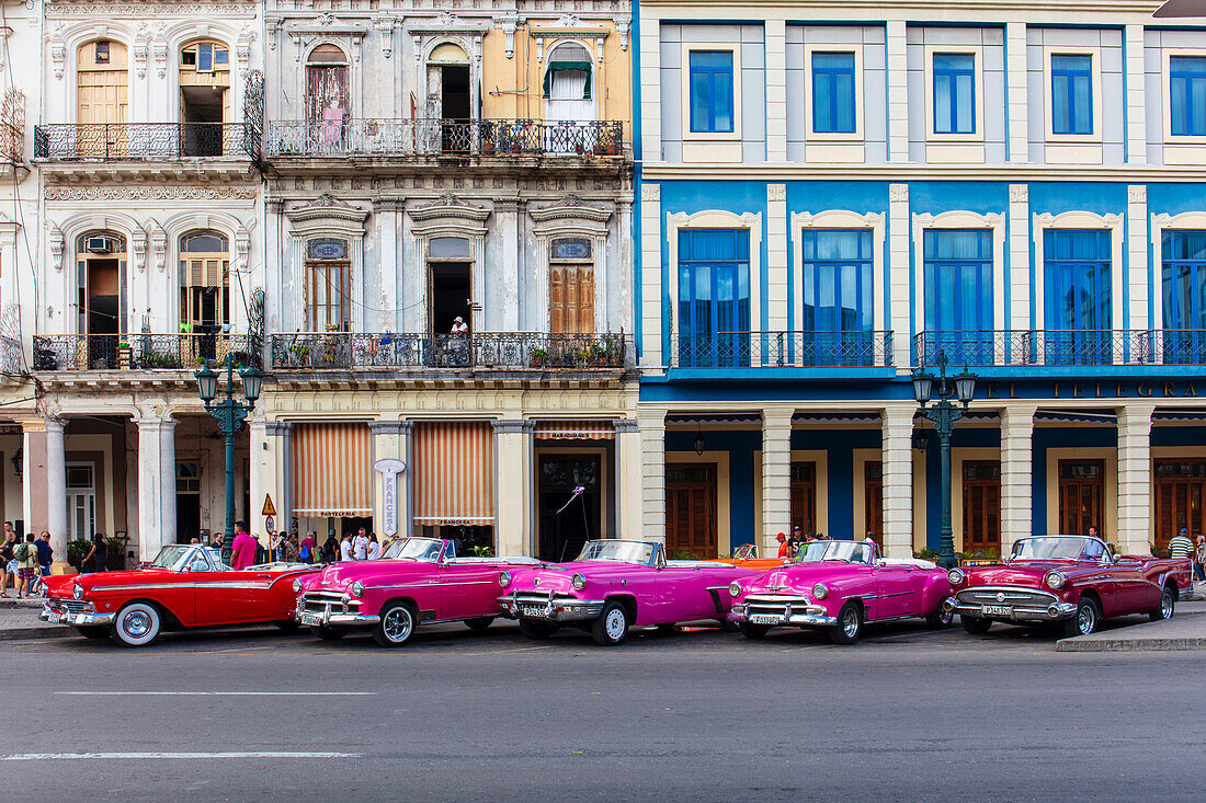 Rote und rosafarbene amerikanische Oldtimer-Taxis auf der Straße in Havanna, Kuba, Westindien, Mittelamerika