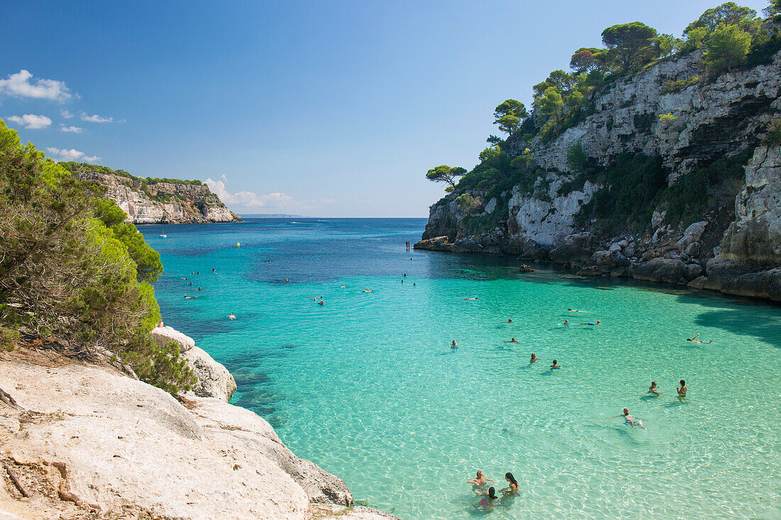 Blick über das türkisfarbene Wasser der Cala Macarelleta zu den mit Pinien bewachsenen Kalksteinfelsen, Cala Galdana, Menorca, Balearen, Spanien, Mittelmeer, Europa