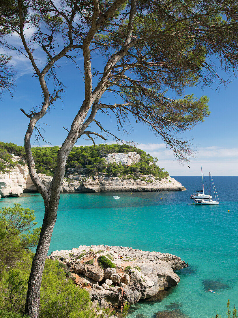 Blick über das türkisfarbene Wasser von Cala Mitjana zu den mit Pinien bewachsenen Kalksteinfelsen, Cala Galdana, Menorca, Balearen, Spanien, Mittelmeer, Europa