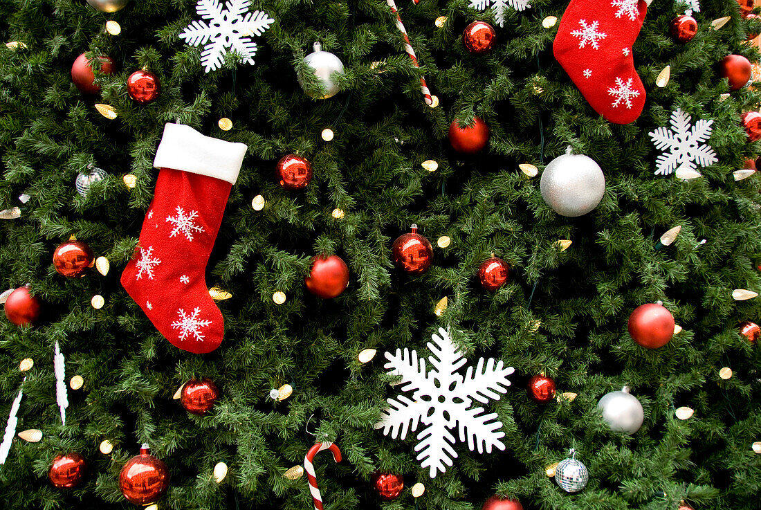 North America. Christmas decorations on tree.