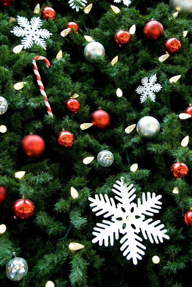 Nordamerika. Weihnachtsschmuck am Baum.