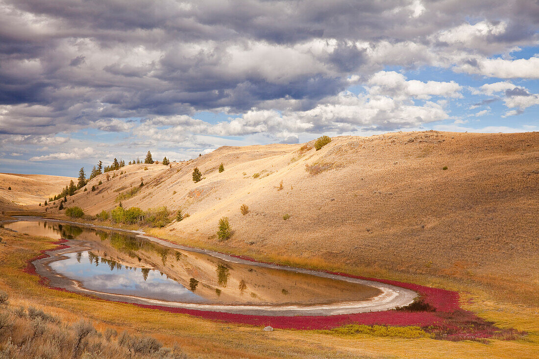 Kanada, British Columbia, Kamloops, Lac Du Bois Grasslands Park. Landschaft mit kleinem See und Wiesen