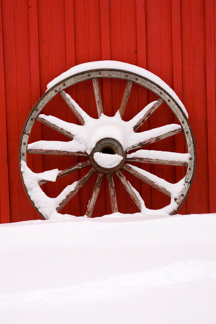 Canada, Banff, Martin Stables, wheel detail. (Editorial Usage Only)