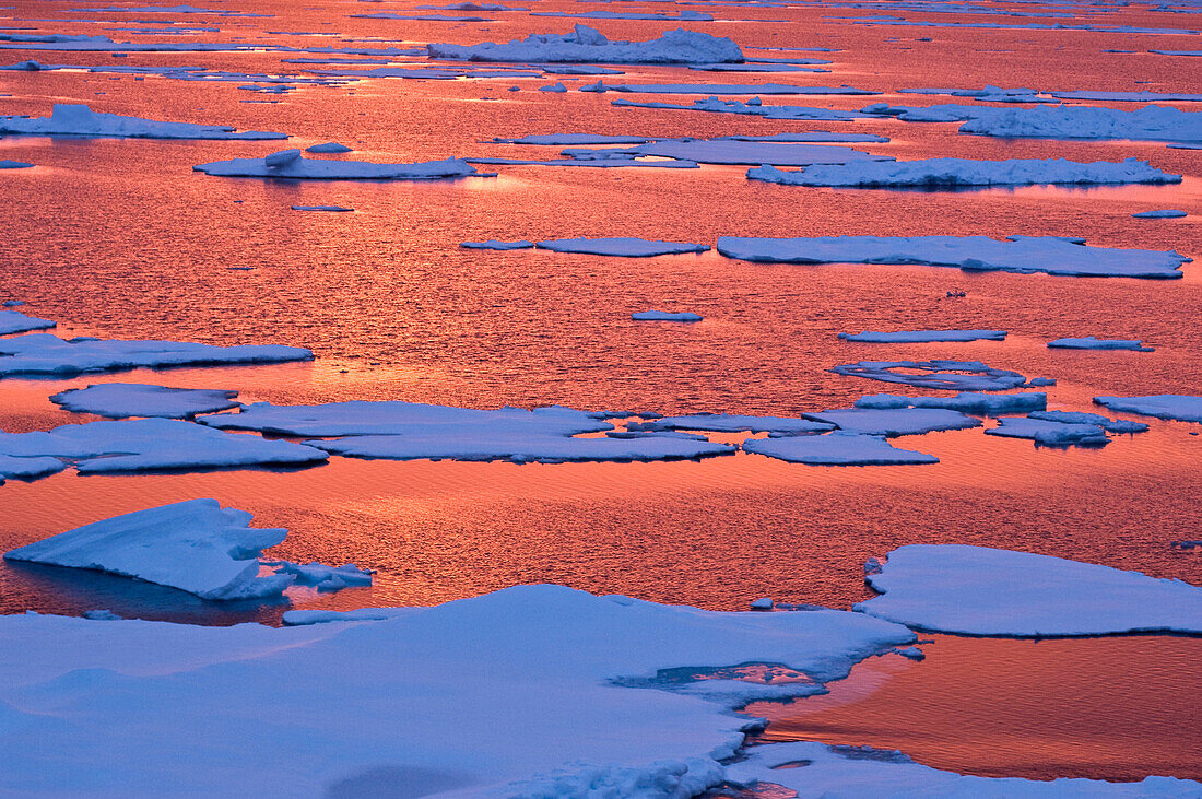 Sonnenuntergang Reflexionen, Grönlandmeer, Ostküste von Grönland