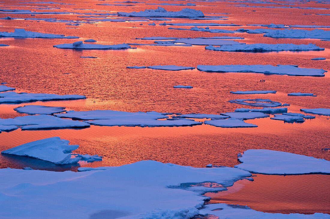 Sunset reflections, Greenland Sea, East Coast of Greenland