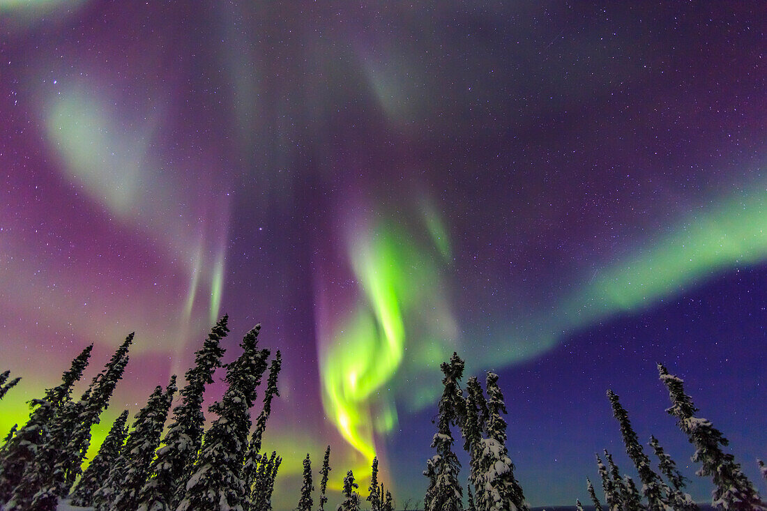 Aurora borealis, Northern Lights, near Fairbanks, Alaska