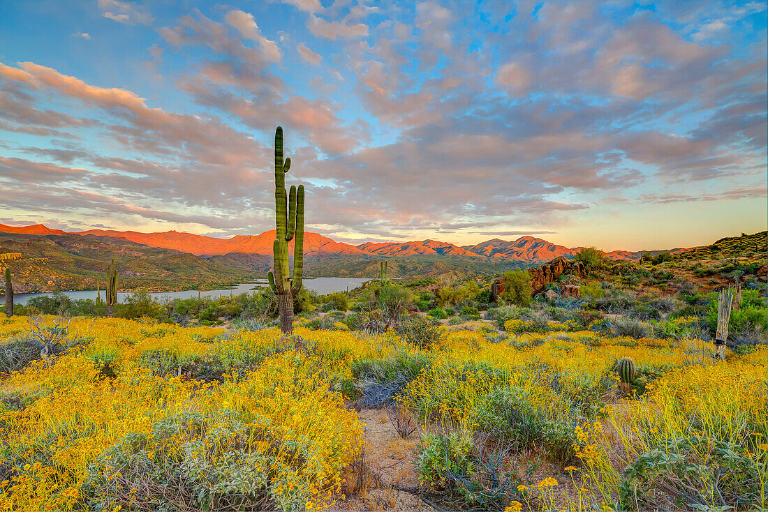 USA, Arizona, Lake Bartlett, Cave Creek. Sunset on desert landscape