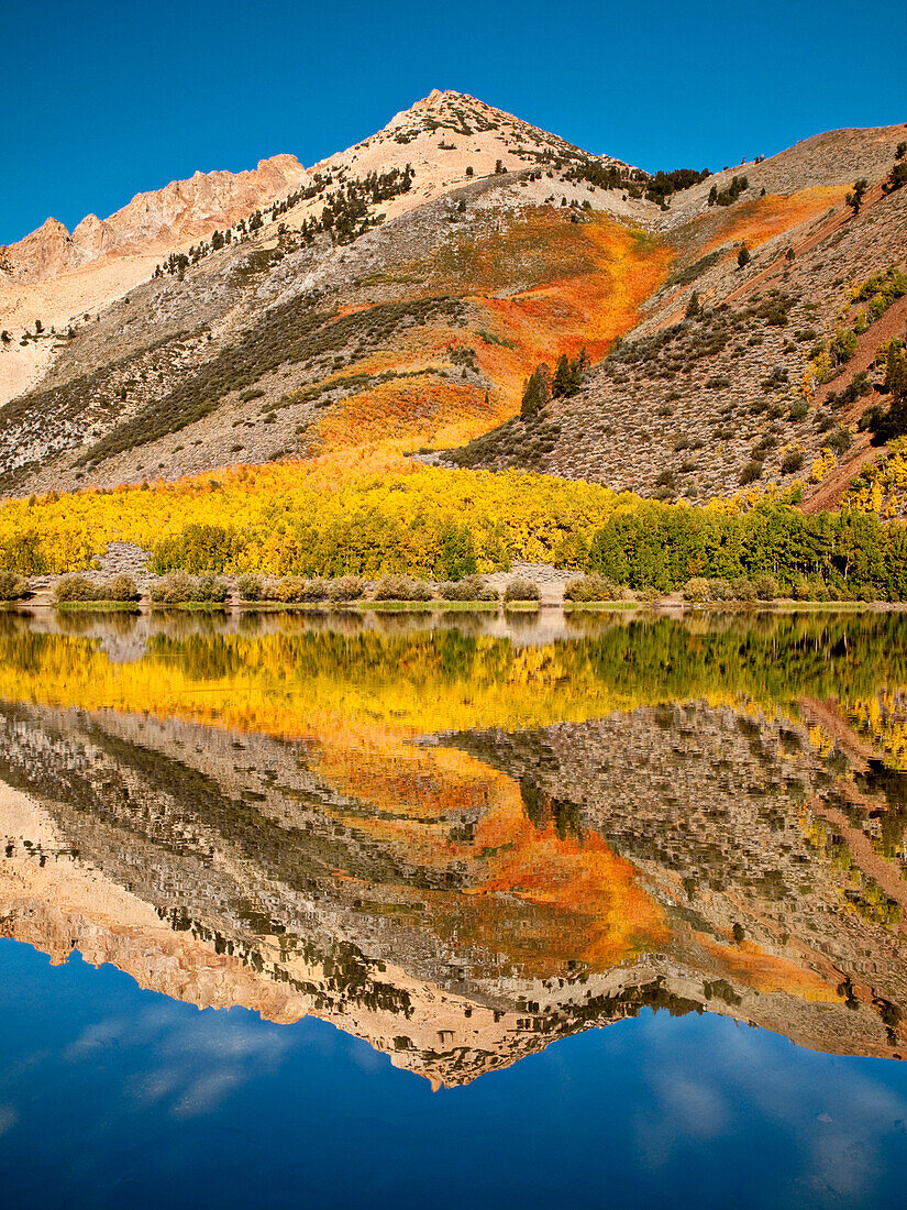 USA, California, Eastern Sierra, Fall color reflected in North Lake