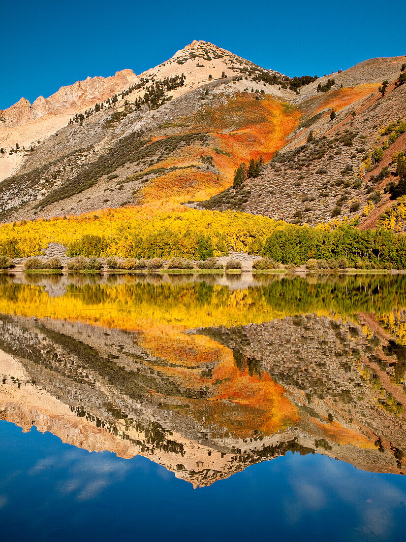 USA, Kalifornien, östliche Sierra, Herbstfarben in North Lake wider