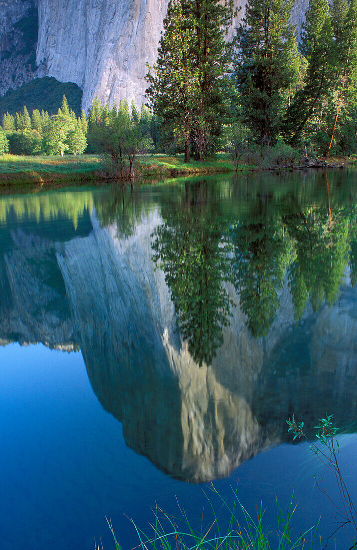 Morgenlicht am El Capitan spiegelt sich im Merced River, Yosemite Valley, Yosemite-Nationalpark, Kalifornien, USA.