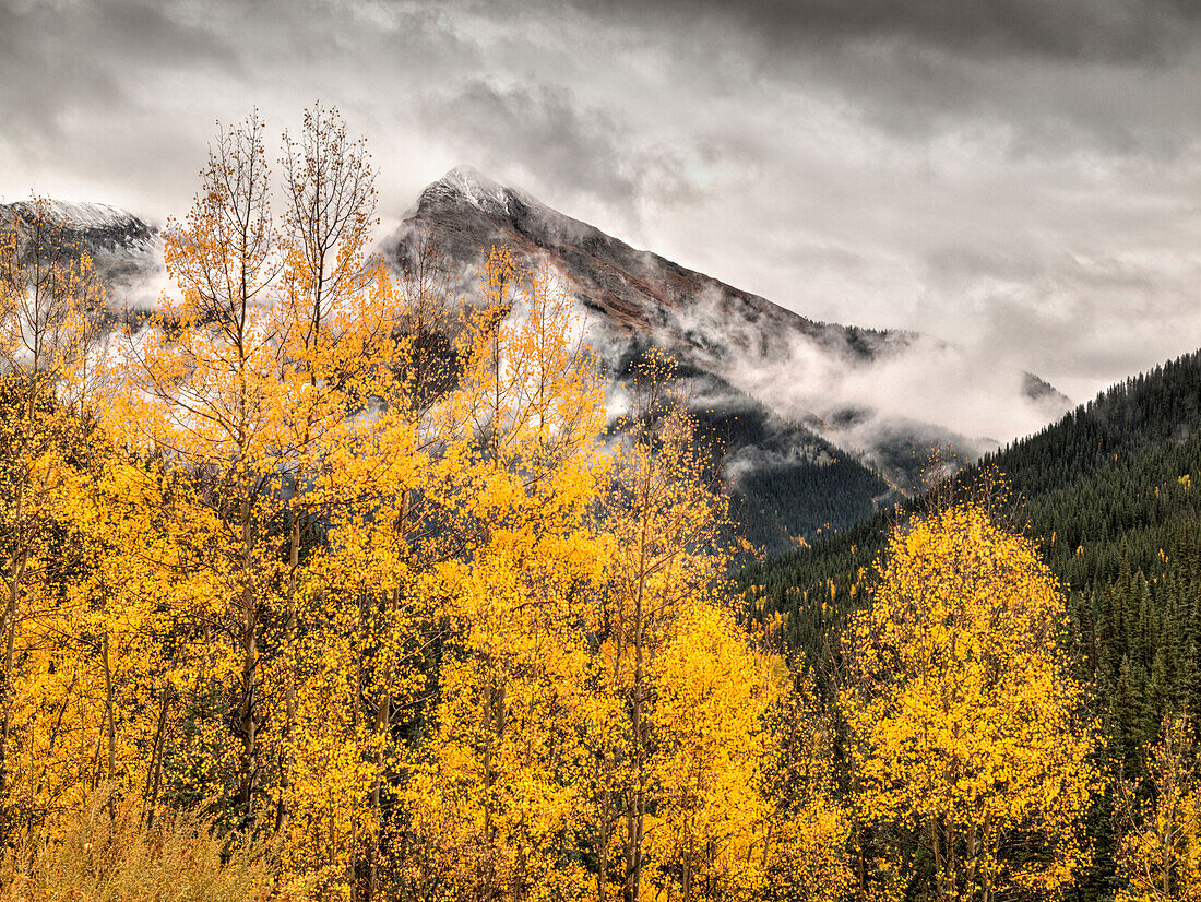 USA, Colorado, Silverton, Lichtung von Sturm und Herbstfarben auf dem Alpine Loop