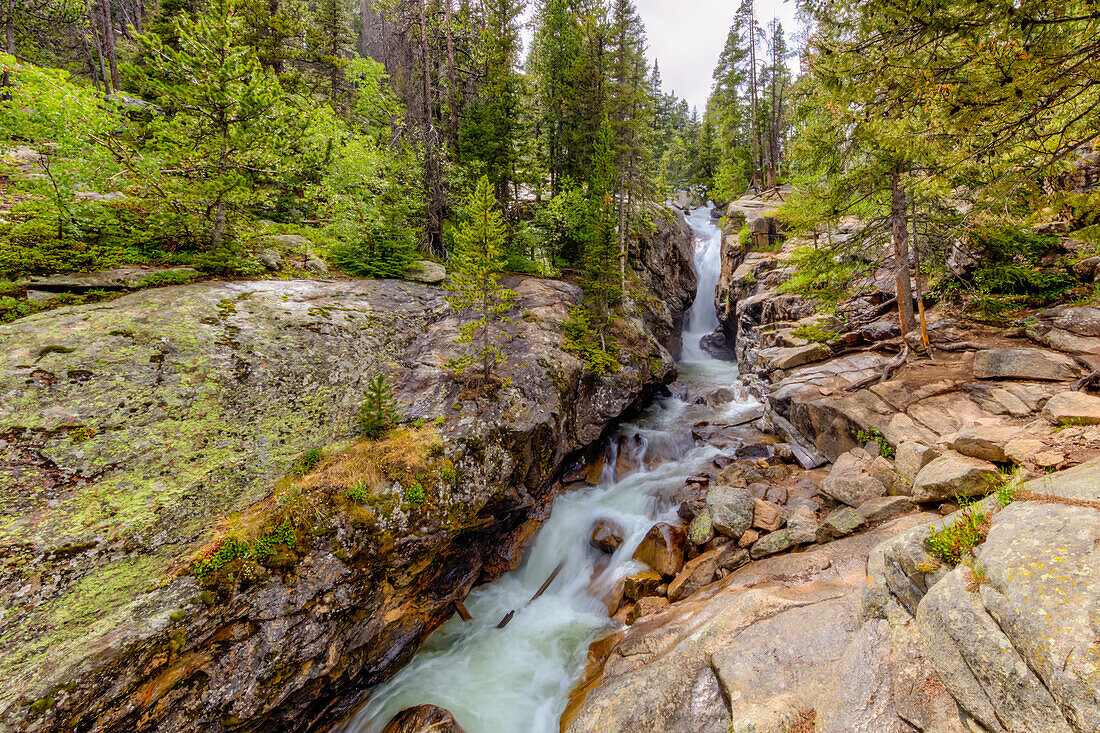 USA, Colorado, Rocky Mountain National Park. Waterfall and river cascade