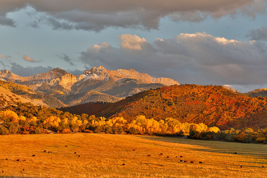 Abendlicht San Juan Mountains Herbstfarben aus der Owl Road in der Nähe von Ridgway, Colorado.