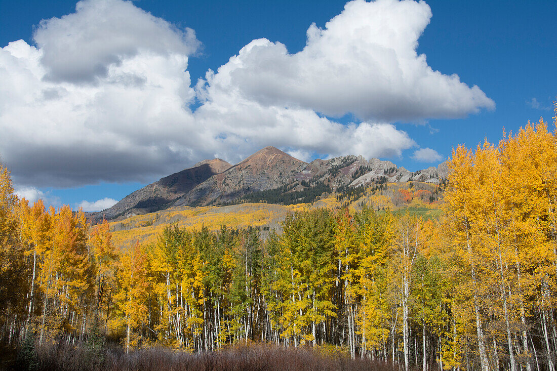Herbstlaub, Mount Owen und Ruby Peak, Crested Butte, Gunnison National Forest, Colorado