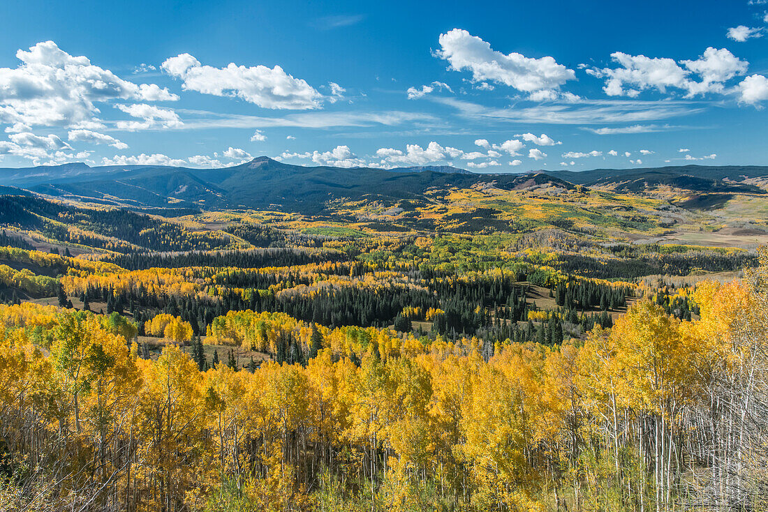 USA, Colorado, Routt National Forest, Herbstfärbung in der Flat Tops Wildnis