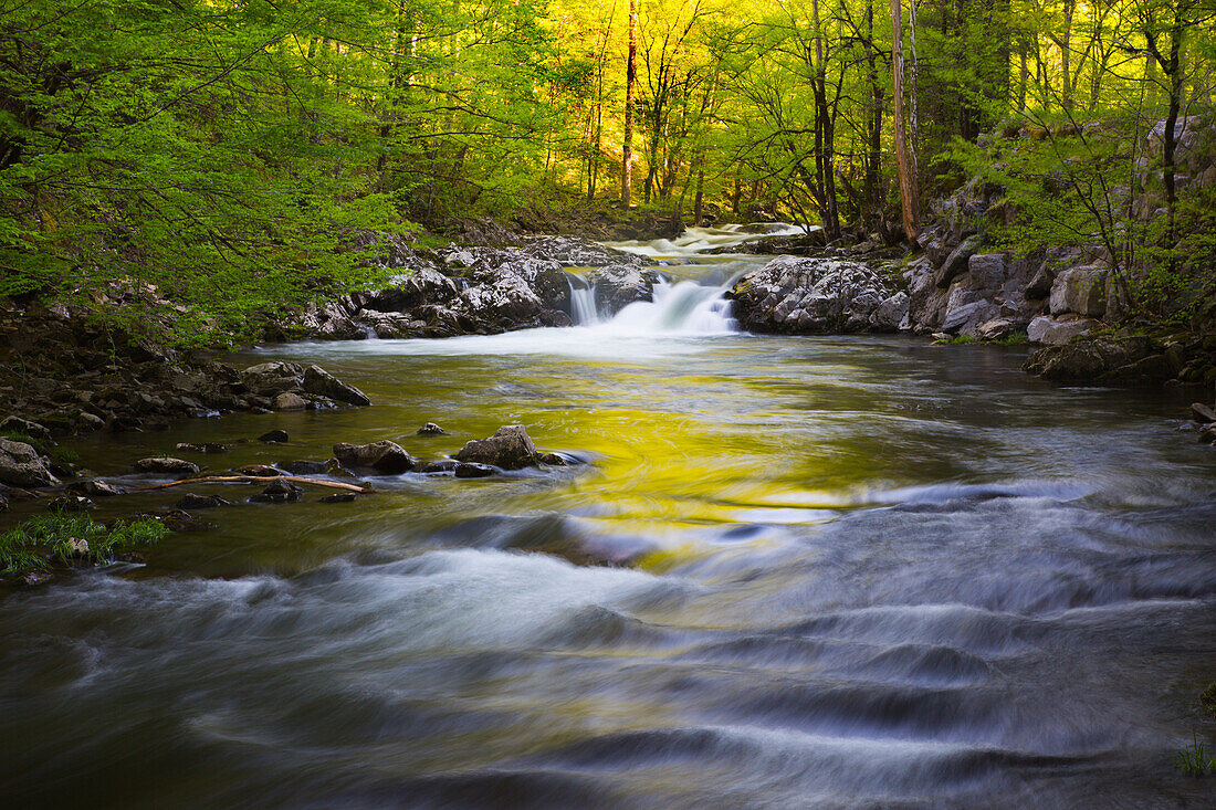 USA, Tennessee. Great-Smoky-Mountains-Nationalpark, Little River