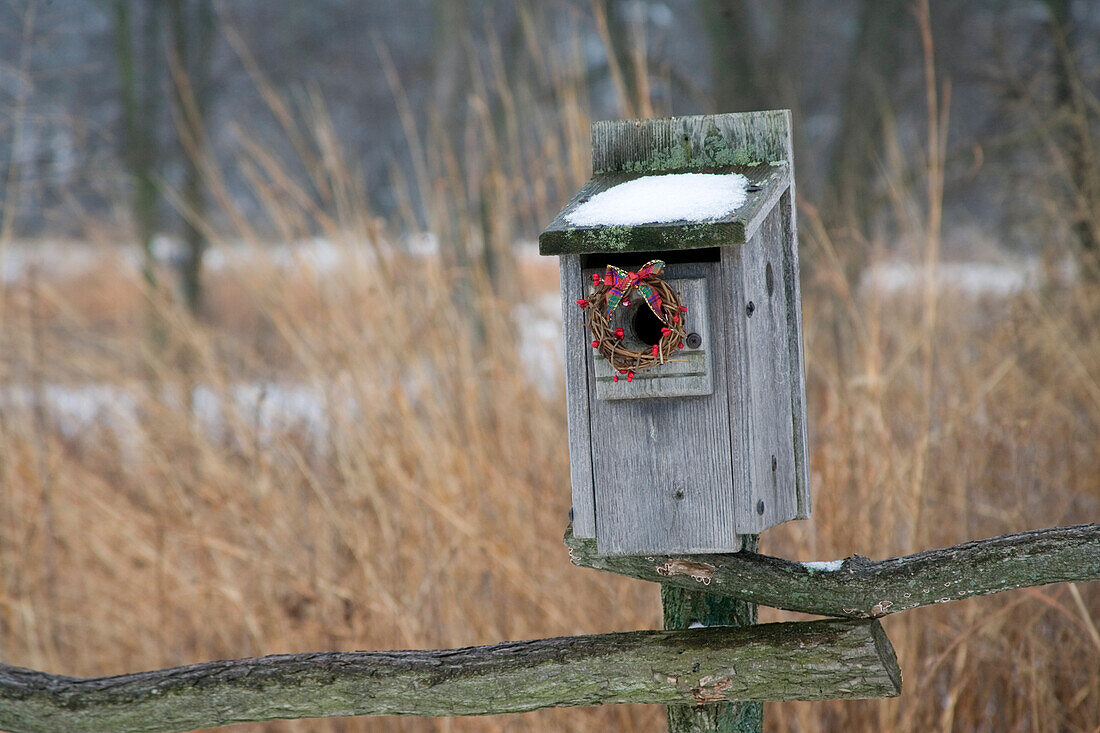 Vogel, Nistkasten mit Weihnachtskranz im Winter, Marion, Illinois, USA.