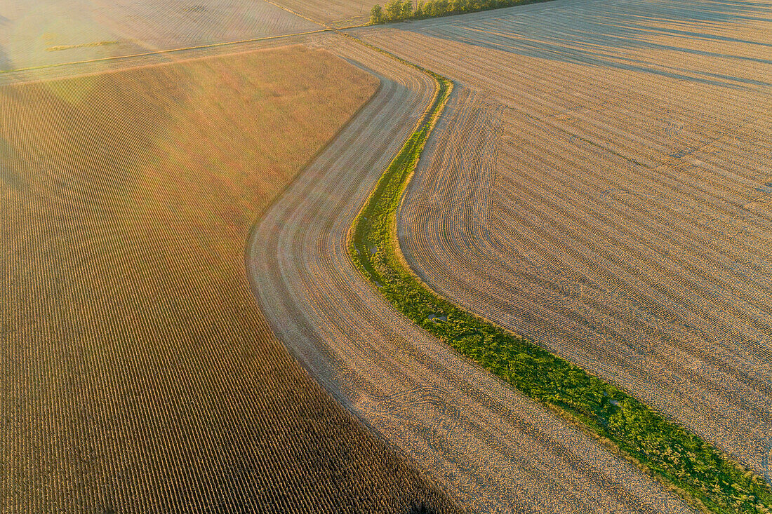 Partially harvested corn field in fall, Marion County, Illinois.