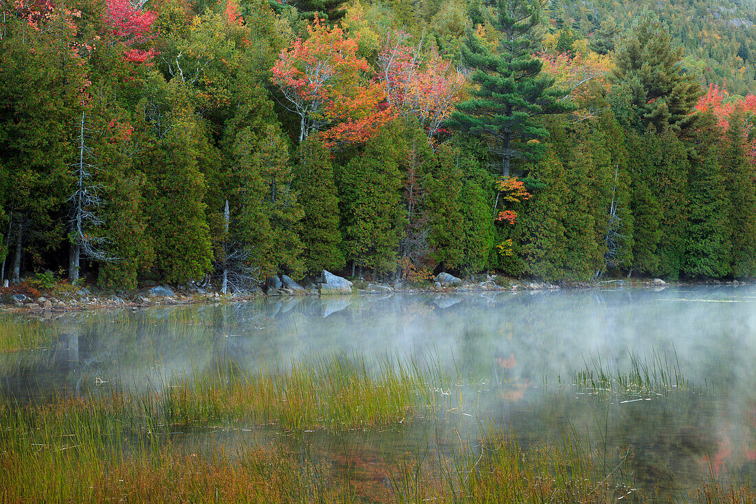 USA, Maine. Acadia National Park, morning fog at Bubble Pond.