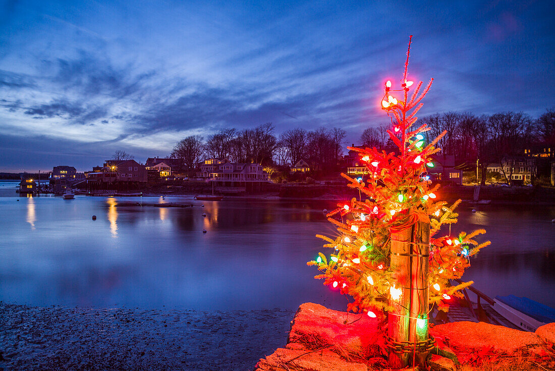 USA, Massachusetts, Cape Ann, Annisquam. Lobster Cove, Christmas Tree