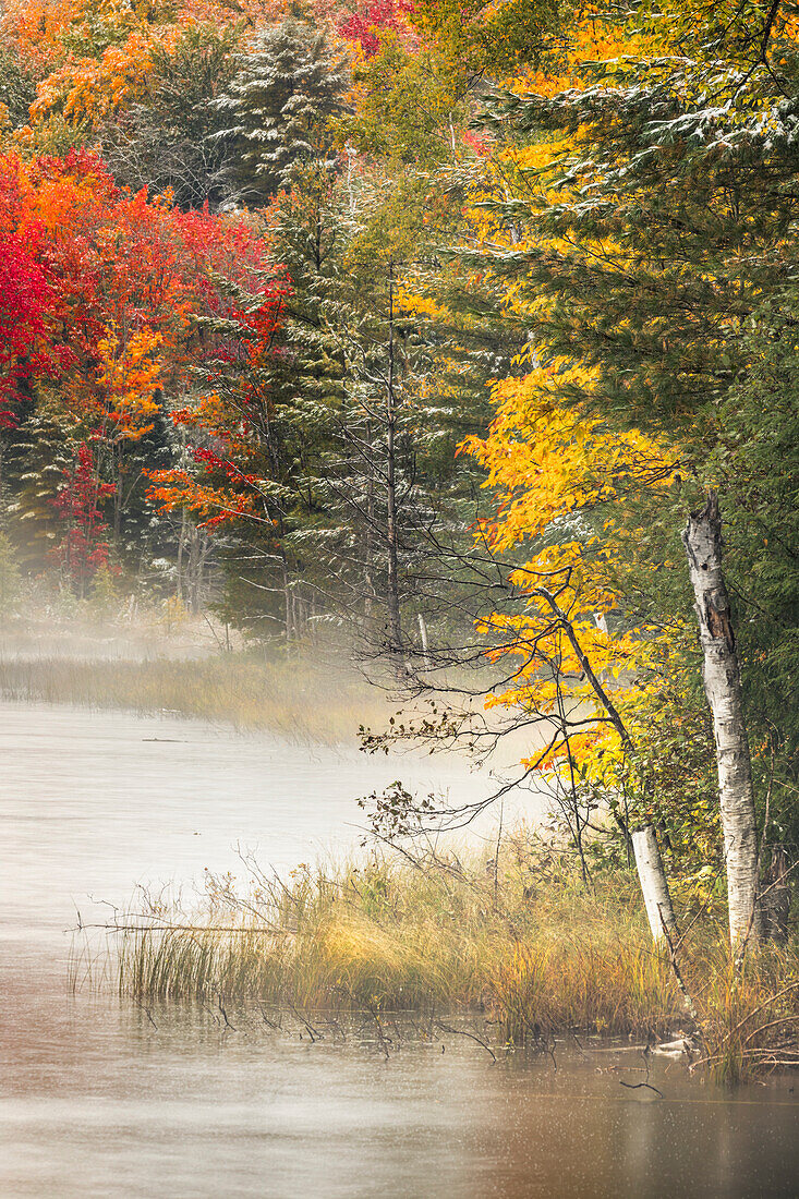 Light dusting of snow and fall colors along shoreline of Council Lake, Hiawatha National Forest, Upper Peninsula of Michigan.