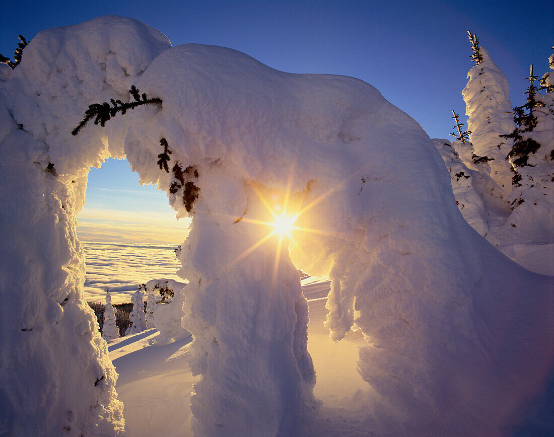 Sonnenuntergang durch die Snowghosts am Big Mountain in der Nähe von Whitefish Montana