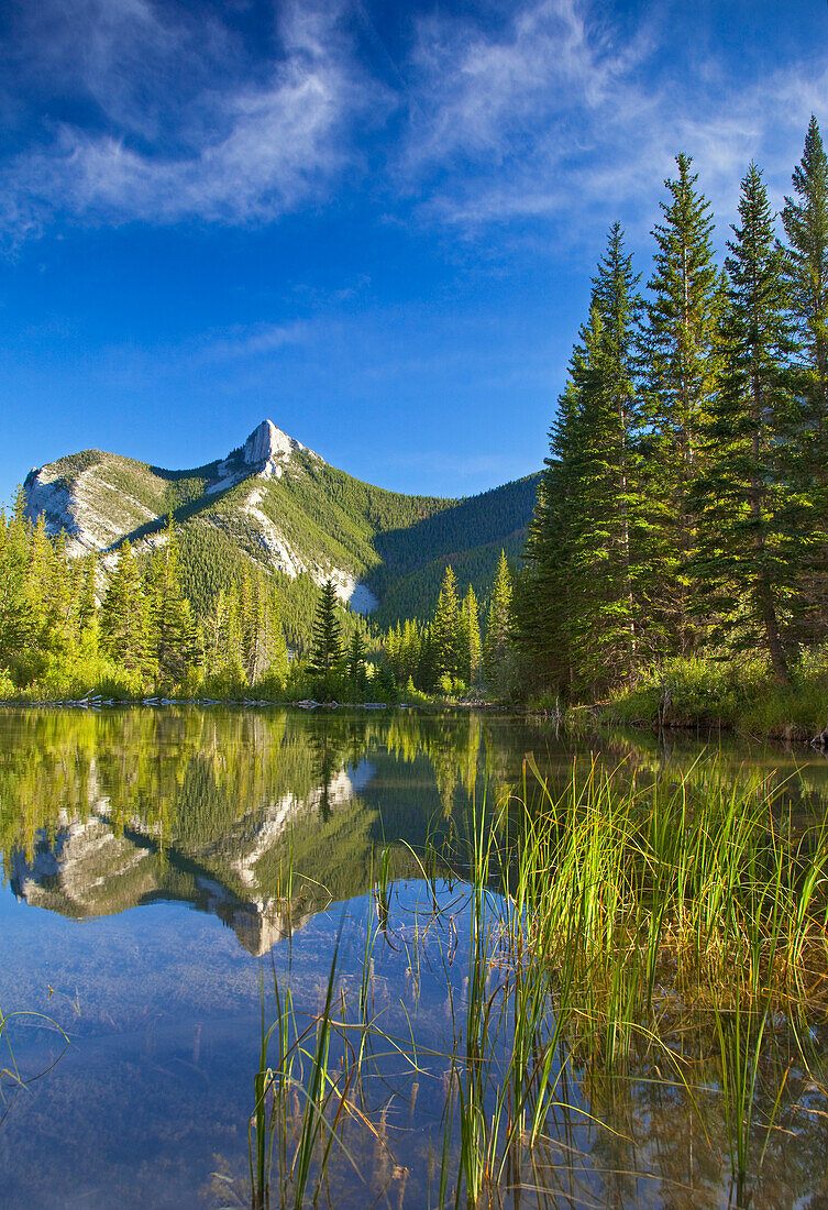 Wind Mountain reflects in a beaver pond in the Lewis and Clark National Forest of Montana