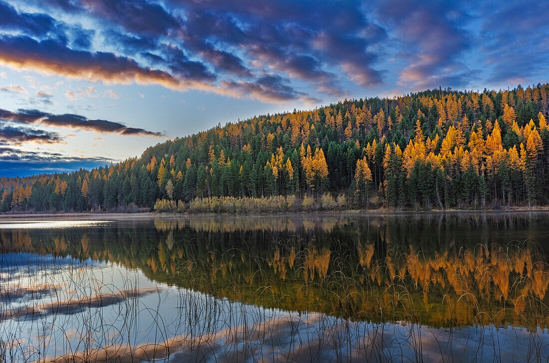Herbstreflexionen in Spencer Lake in der Nähe von Whitefish, Montana, USA