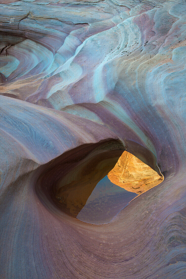 USA, Nevada, Tal des Feuer-Staatsparks. Slot Canyon wirbelndes Design aus poliertem Sandstein mit kleinem Wasserbecken, das Canyon-Klippen widerspiegelt