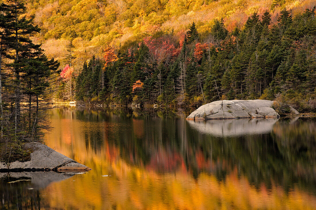 Herbstfarben spiegeln sich auf Biberteich, White Mountains National Forest, New Hampshire