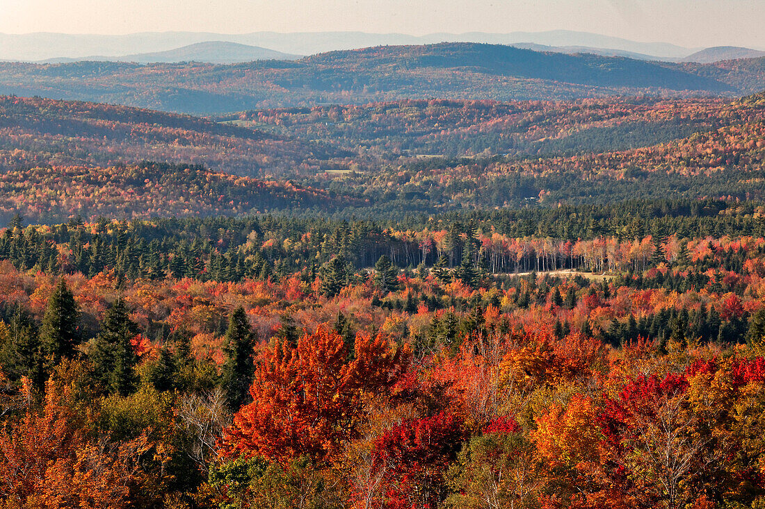 Fall color overview, White Mountains National Forest, New Hampshire