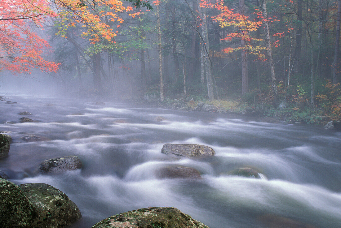 USA, New York, Adirondacks, Big Moose River Stromschnellen im Herbst