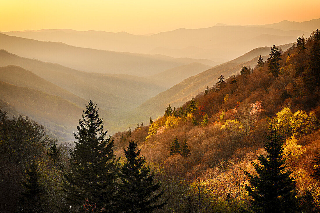 Frühlingssonnenaufgang von Oconaluftee Valley Overlook, US Hwy. 441 oder Newfound Gap Road, Great-Smoky-Mountains-Nationalpark, North Carolina