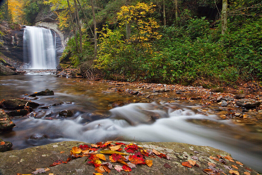 Looking Glass Falls im Pisgah National Forest in North Carolina