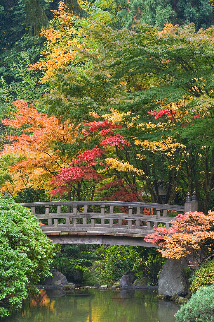 USA, Oregon, Portland. Wooden bridge over pond at Portland Japanese Garden