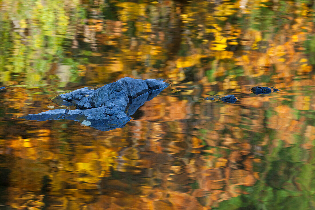 Der Rogue River fließt und nimmt die reflektierenden Farben des Herbstes auf