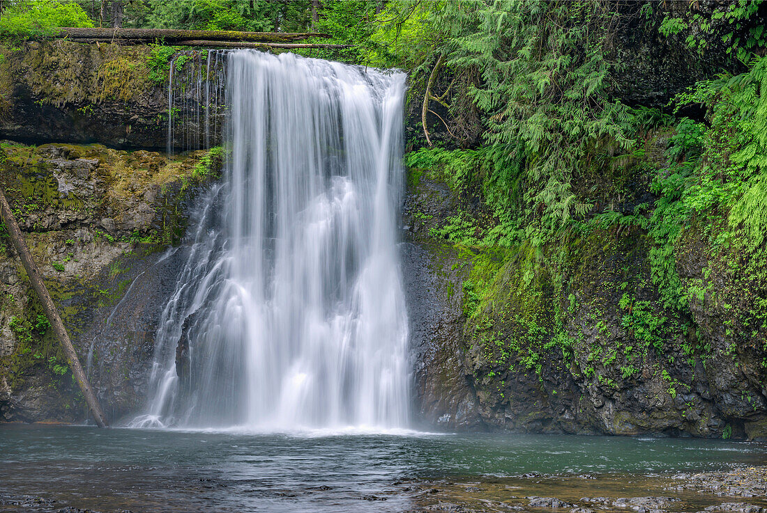 USA, Oregon, Silver Falls State Park. Der Quellfluss des North Fork Silver Creek stürzt bei Upper North Falls 65 Fuß in die Tiefe.