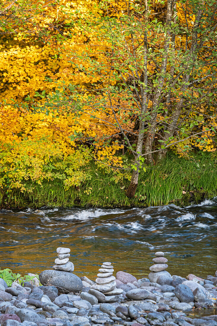 Stacked stones on Fall-colored vine maple band of the McKenzie National Wild and Scenic River, Cascade Range, Oregon.