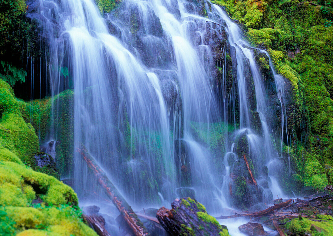 Frühlings-Süßwasser fließt über moosbedeckte Felsen Proxy Falls in Oregons zentralen Cascade Mountains.