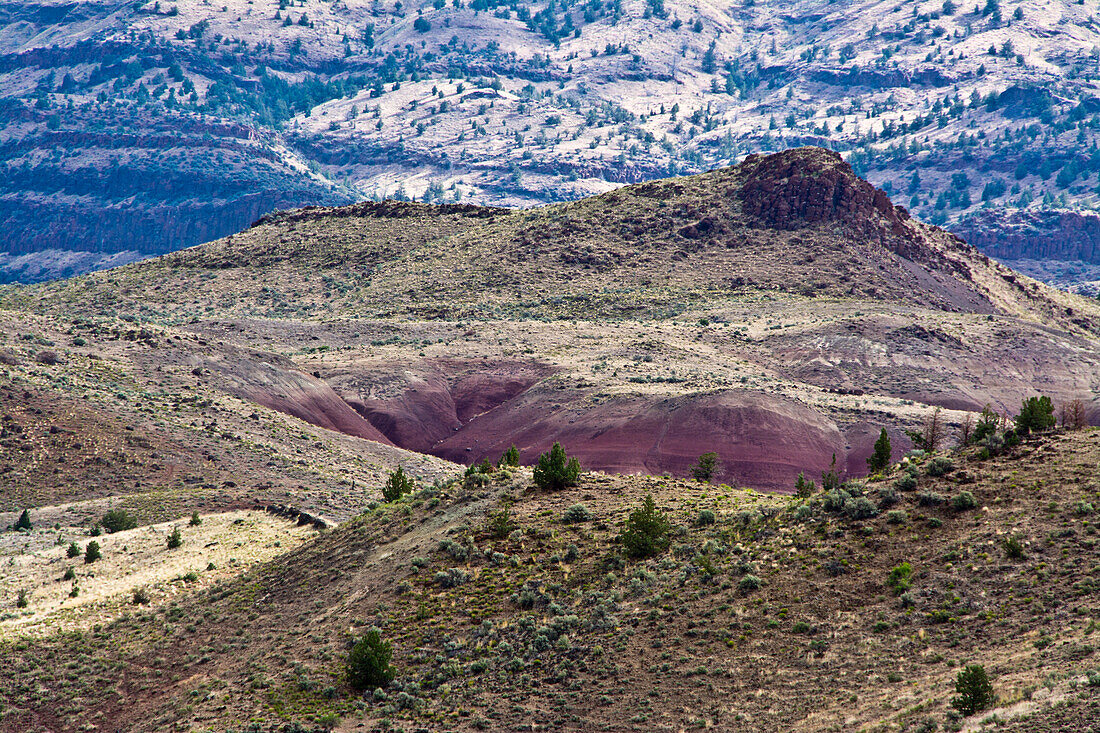 Blaues Beckengebiet, John Day Fossil Beds National Monument, Oregon, USA